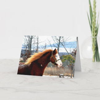 Tarjeta Buckie en la montaña de Rogers