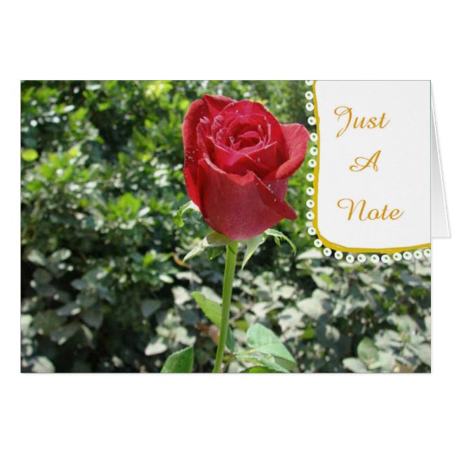 Tarjeta Bud Blank Rosa Rojo Just-A-Note (Anverso (Horizontal))