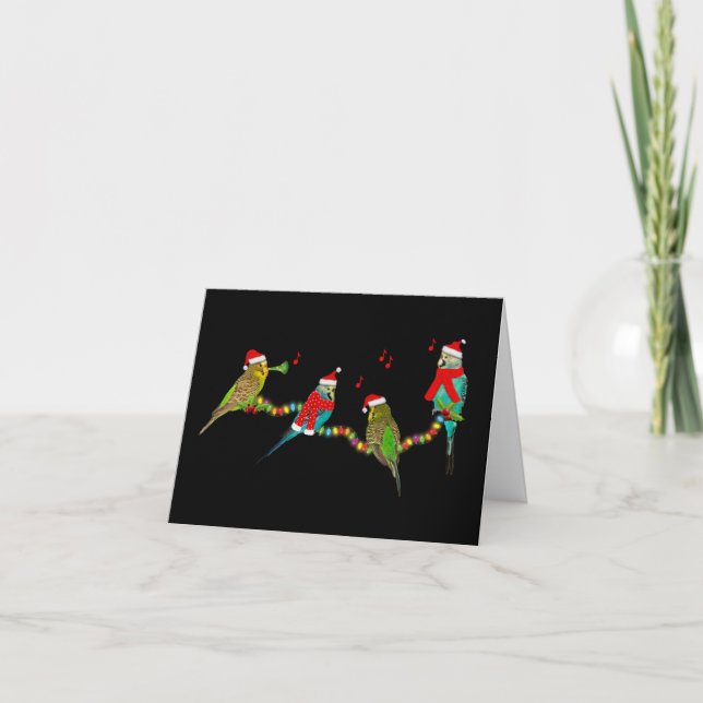Tarjeta Budgie Frenzy para Navidades (Anverso)