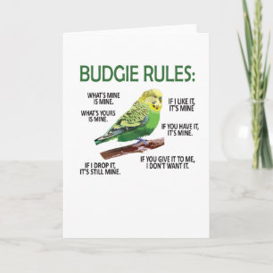 Tarjeta Budgie Propietario de Budgie Lover Parakeet Bird B