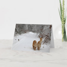 Tarjeta Budos de nieve