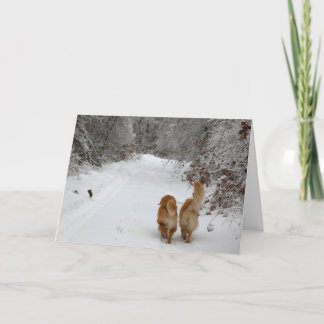 Tarjeta Budos de nieve