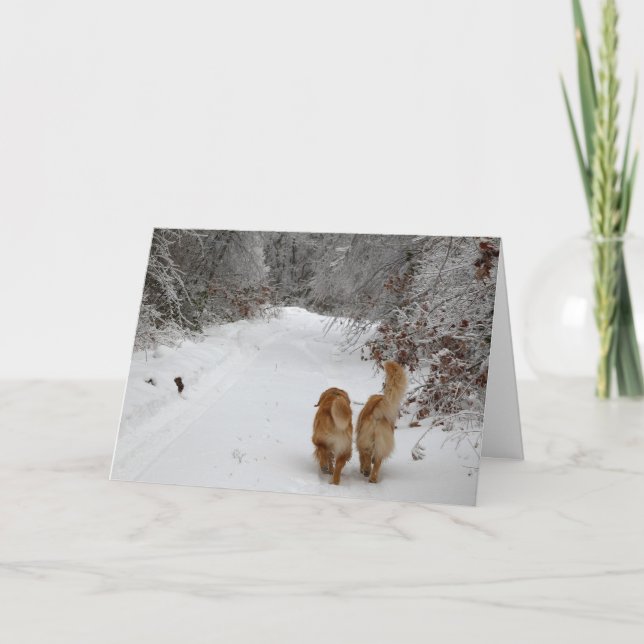 Tarjeta Budos de nieve (Anverso)
