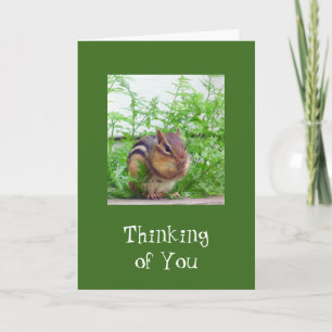 Tarjeta Buen Día Vida Silvestre