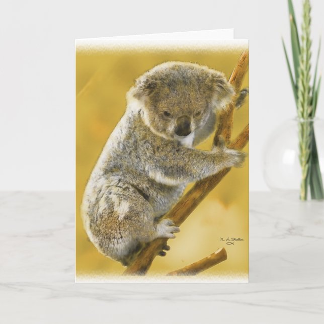 Tarjeta ¡Buen Oso Koala! (Anverso)