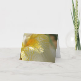 Tarjeta ¡Buena mañana, iris!