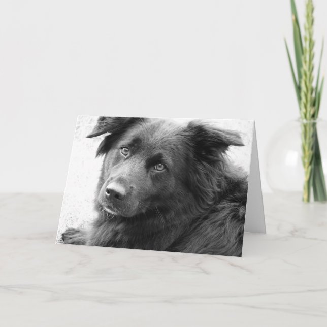 Tarjeta Buena salud (Anverso)