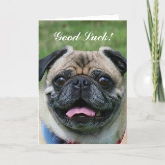 Tarjeta Buena suerte Perro de Pug