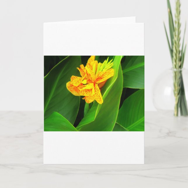 Tarjeta ¡Buenas noches! (Anverso)