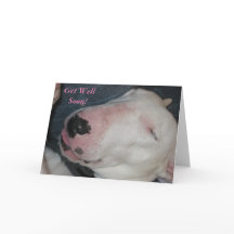 Buenas noches, duerme bien, perro tonto-¡Recupérat