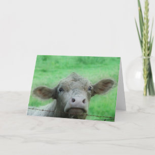 Tarjeta Bueno, Hola