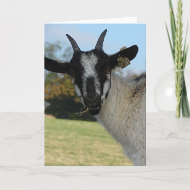 Tarjeta Bueno, Hola. (Anverso)