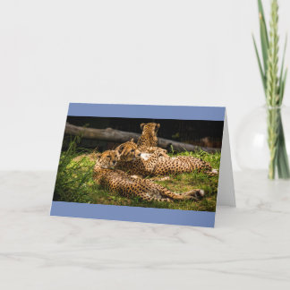 Tarjeta ¡Bueno, no lo veo!