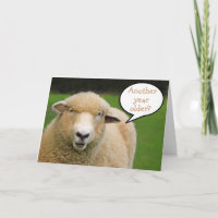 Buenos días de oveja reflexiva