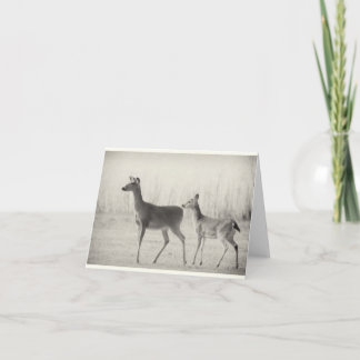 Tarjeta Buenos días Whitetails