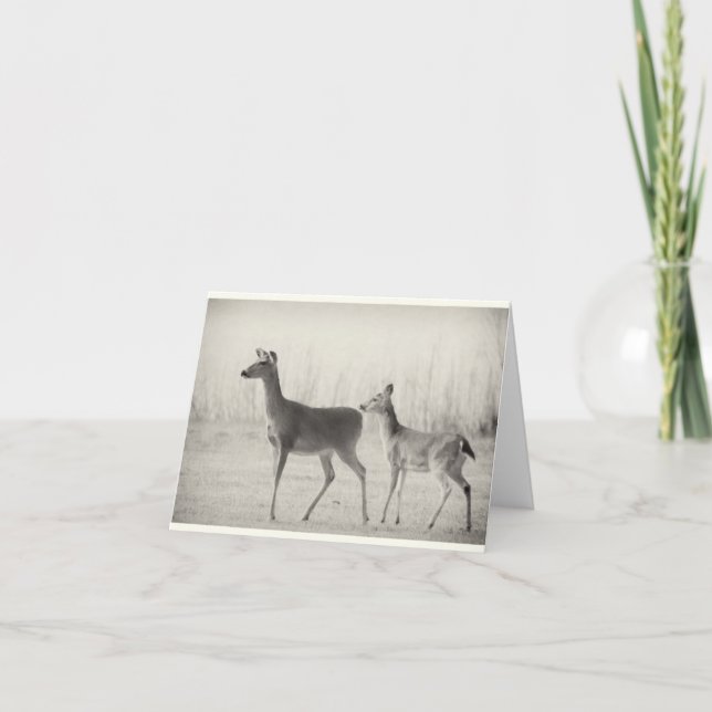 Tarjeta Buenos días Whitetails (Anverso)