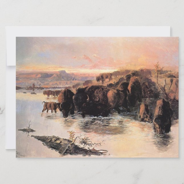 Tarjeta Búfalo (Anverso)