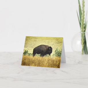 Tarjeta Búfalo de Montana
