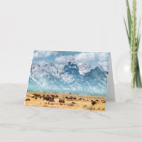 Búfalo debajo de las montañas magníficas de Teton