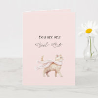 Bufanda Cumpleaños Cool Cat Blush Rosa