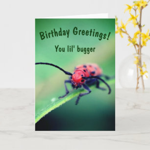 Tarjeta Bug Con Actitud Cute Cumpleaños 
