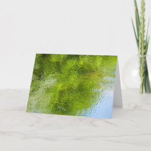 Tarjeta Bugs de Agua en el Parque Estatal Laurel Hill