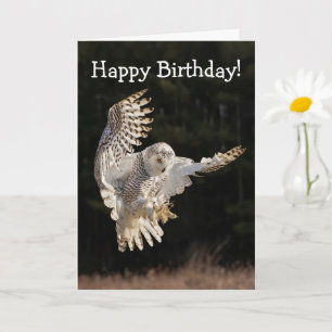 Tarjeta Búho de cumpleaños feliz
