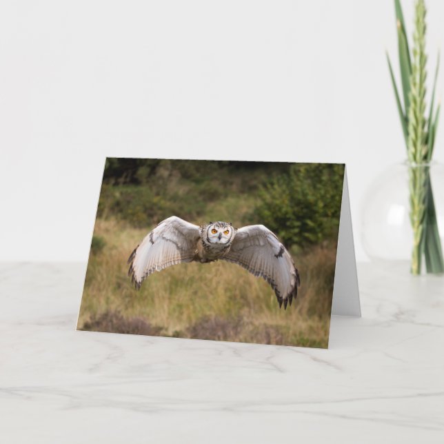 Tarjeta Búho de Eagle "que viene en usted " (Anverso)