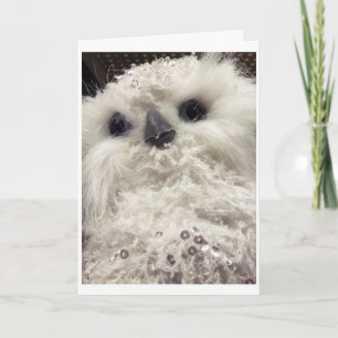 TARJETA BUHO PEQUEÑO Y ADORABLE DICE *FELIZ NAVIDAD PARA T