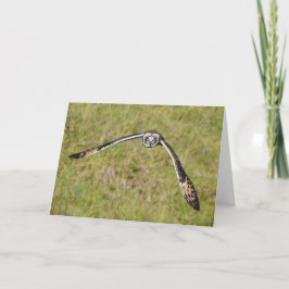 Tarjeta Búho vuela hacia ti