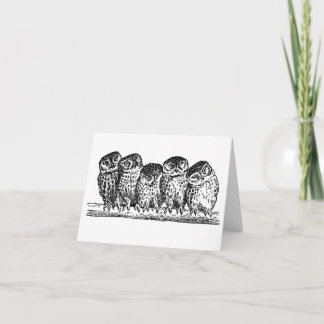 TARJETA BÚHOS EN LA RAMA NOTECARD
