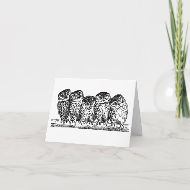 TARJETA BÚHOS EN LA RAMA NOTECARD (Anverso)
