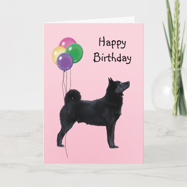 Tarjeta Buhund noruego, globos de cumpleaños (Anverso)