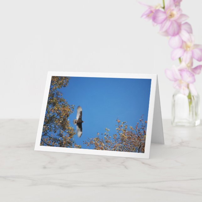 Tarjeta Buitre de Turquía sobre los árboles (Orquídea)