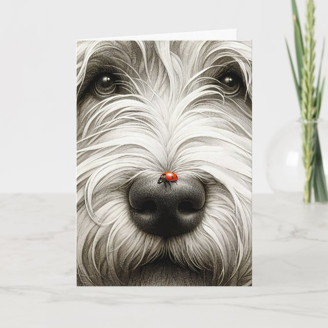 Tarjeta Buitre en la nariz del perro mocosa (Anverso)
