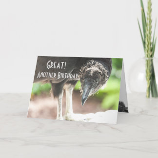 Tarjeta buitre feliz cumpleaños