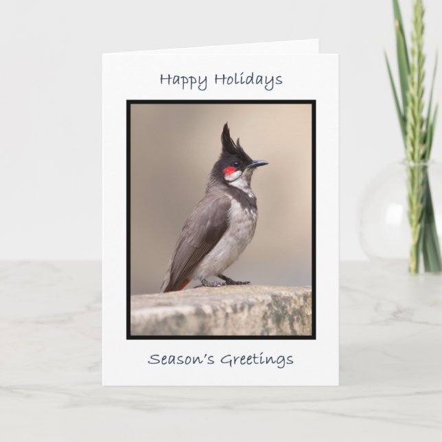 Tarjeta Bulbul indio (Anverso)