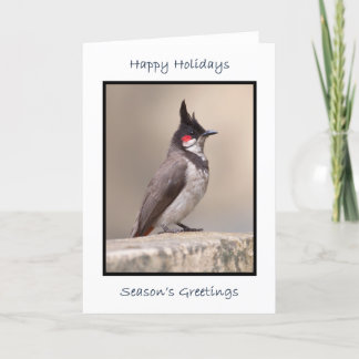 Tarjeta Bulbul indio