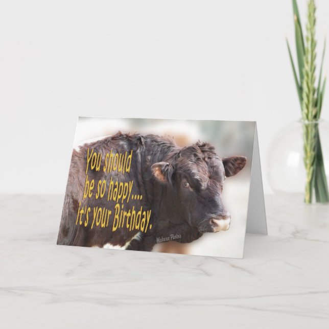 Tarjeta Bull Birthday-personalizar (Anverso)