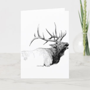 Tarjeta Bull Elk