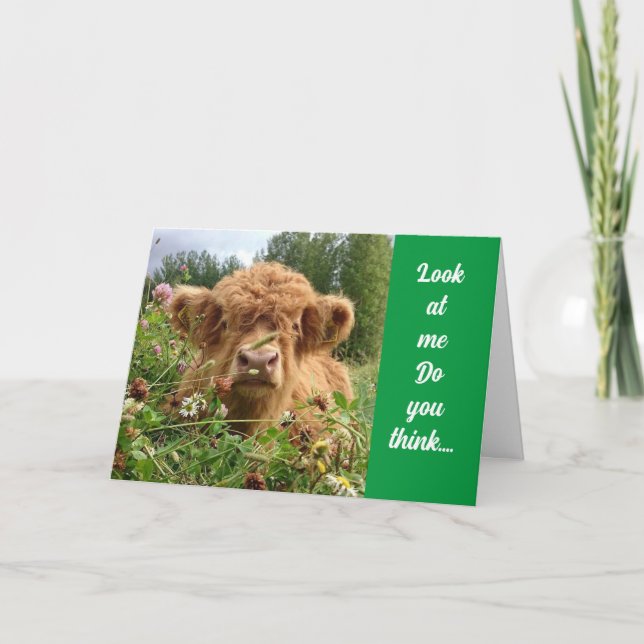 TARJETA BULL ES SERIO Y DICE "FELIZ CUMPLEAÑOS 60" (Anverso)