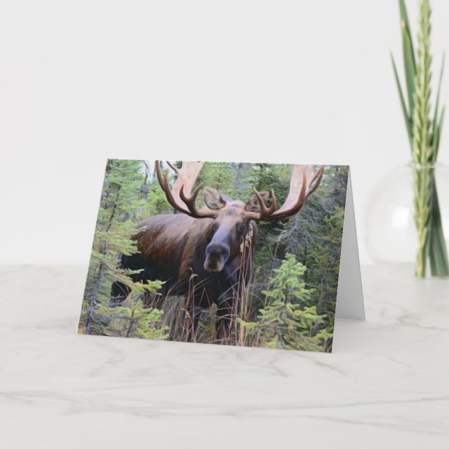 Tarjeta Bull Moose (Anverso)
