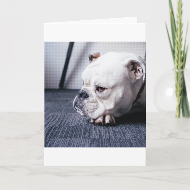 Tarjeta bulldog (Anverso)