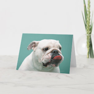 Tarjeta Bulldog