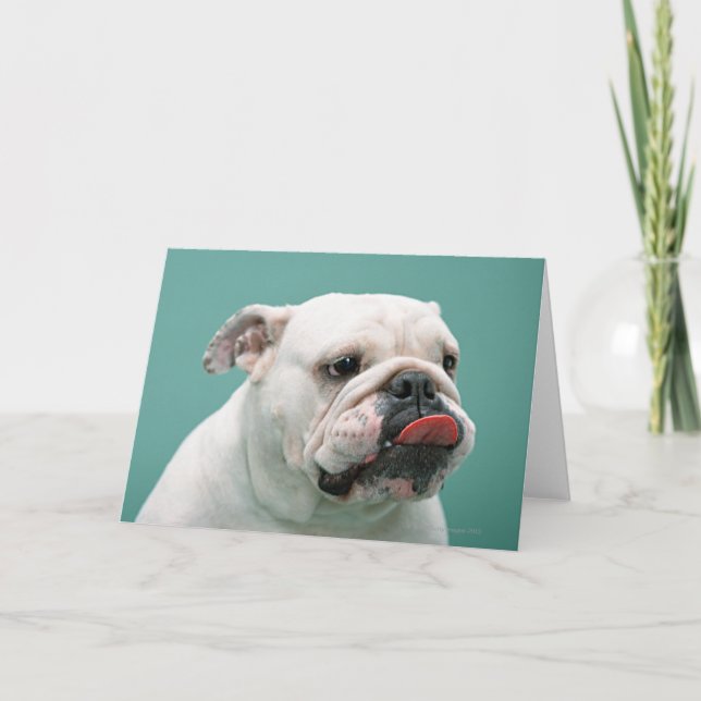 Tarjeta Bulldog (Anverso)