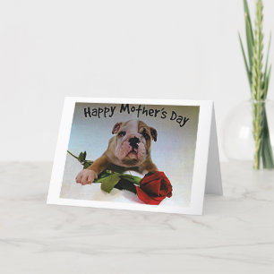 TARJETA BULLDOG CON ROSA ESTÁ LLENO DE AMOR EN EL DÍA DE L