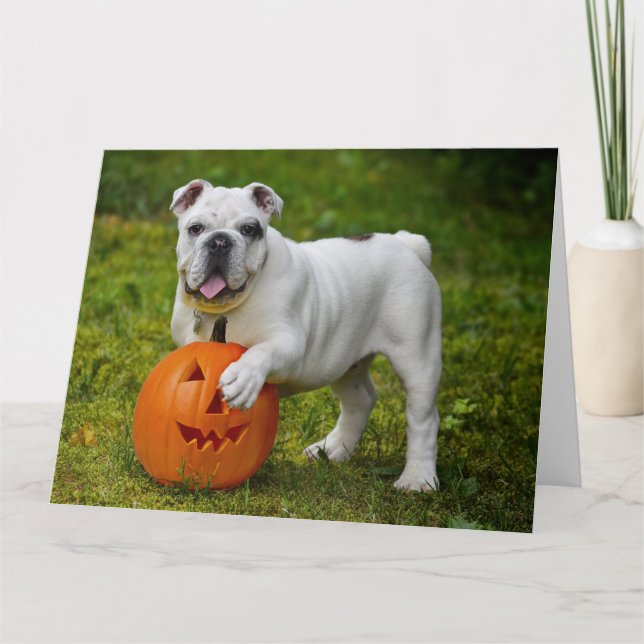 Tarjeta Bulldog de calabaza de Halloween (Anverso)