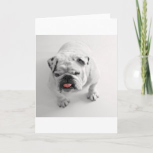 Tarjeta bulldog en bw