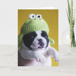 Tarjeta Bulldog francés