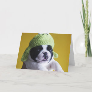 Tarjeta Bulldog francés